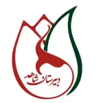 لوگوی دبیرستان دخترانه شاهد هاشمی نیا